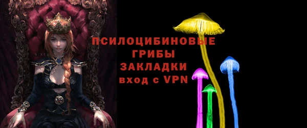 ГАЛЛЮЦИНОГЕННЫЕ ГРИБЫ Лиски
