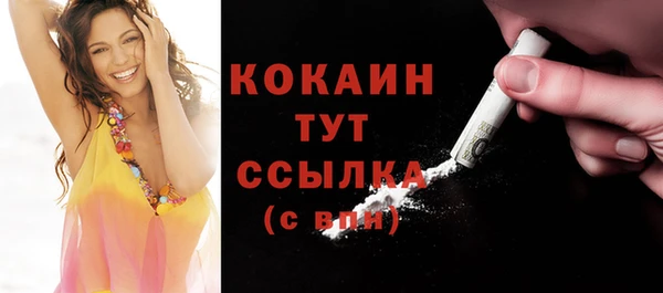 соль ск Липки