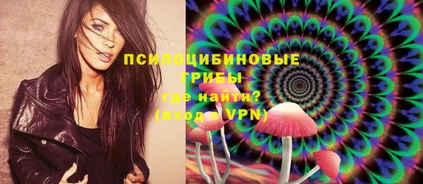 ГАЛЛЮЦИНОГЕННЫЕ ГРИБЫ Лиски