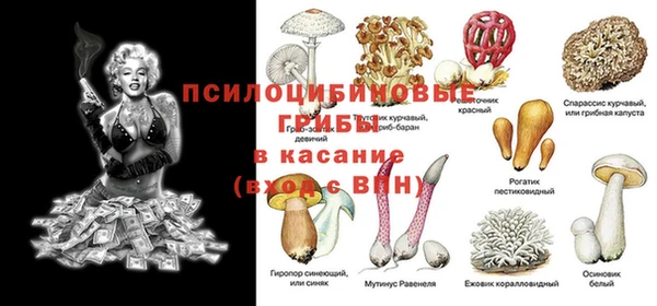 соль ск Липки