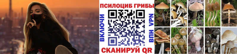 Галлюциногенные грибы мицелий  нарко площадка клад  Сухой Лог 