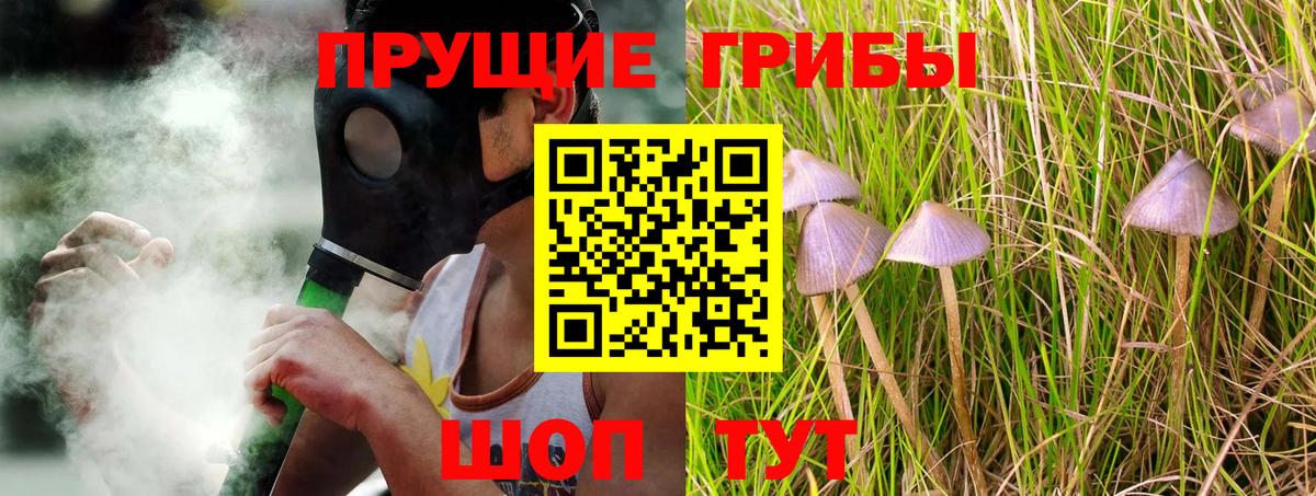 Псилоцибиновые грибы прущие грибы Сухой Лог